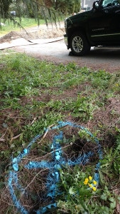 Blue tracer wire marks the path of the leaking underground pipe