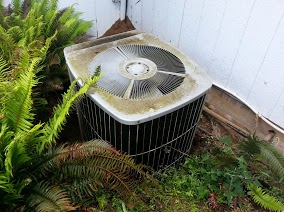 Outdoor heat pump surrounded by ferns beside a building