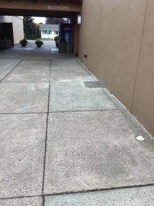 New concrete showing where the plumber completed the repair