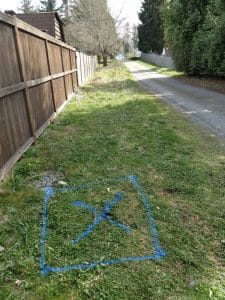 Blue markings showing the located underground water pipe