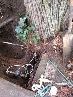 Tree planted above a water line with the exposed utility area below