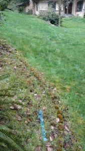 Specialized pipe locating equipment markings along a residential property