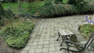 Leak location marked in a landscaped residential area for repair