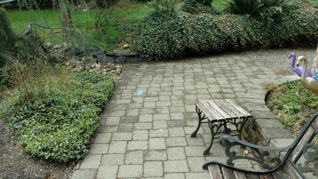 Residential landscape with the located leak area marked on a paved patio
