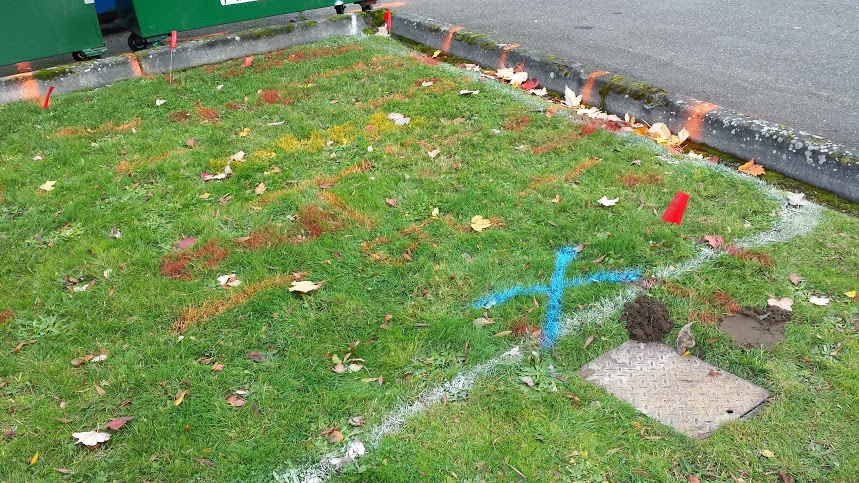 Marked underground utility lines in a grassy area before digging